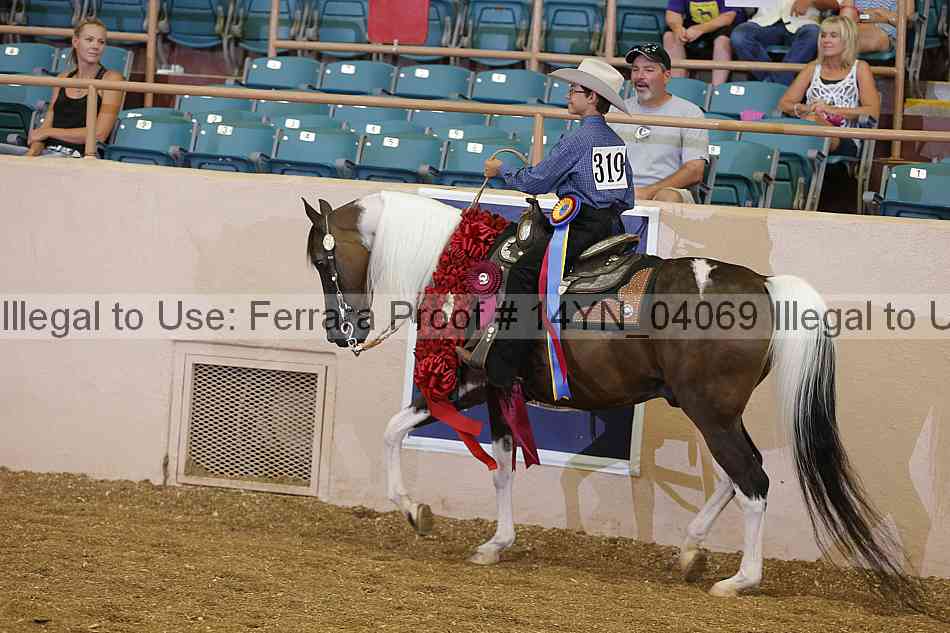 Proof 14yn_04069