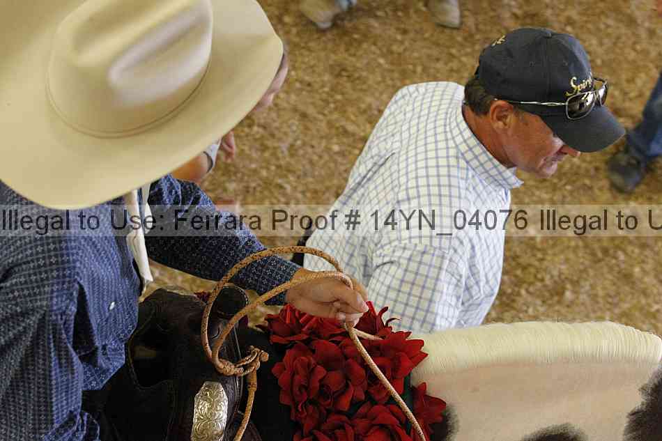 Proof 14yn_04076