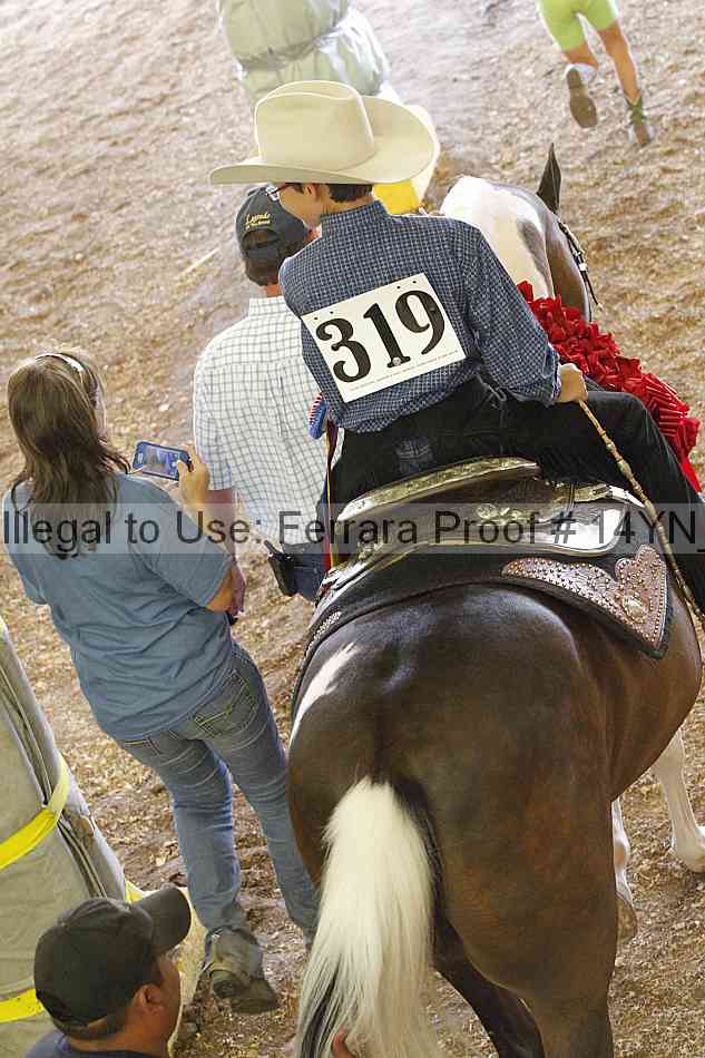 Proof 14yn_04079