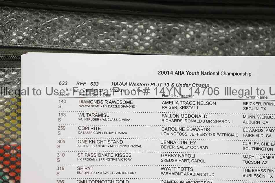 Proof 14yn_14706