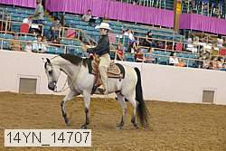 14yn_14707 proof