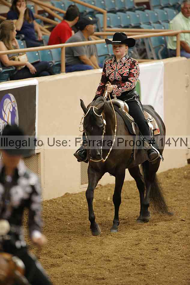 Proof 14yn_14745