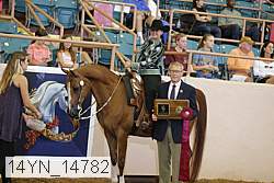14yn_14782 proof