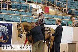 14yn_14826 proof