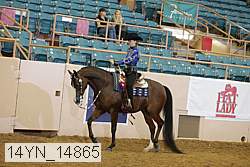 14yn_14865 proof