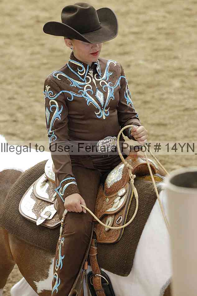 Proof 14yn_14901