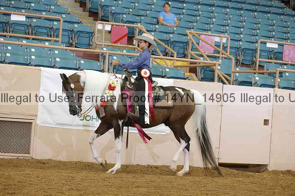 Proof 14yn_14905