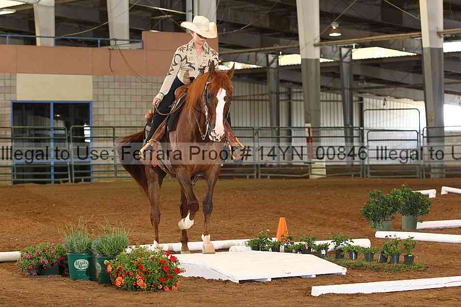 Proof 14yn_00846