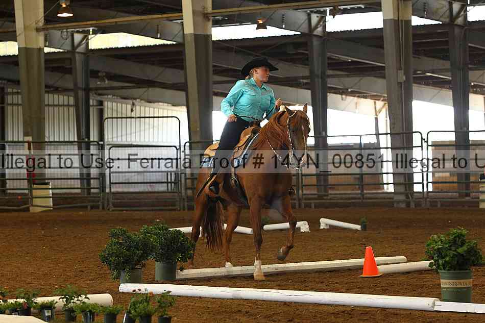 Proof 14yn_00851