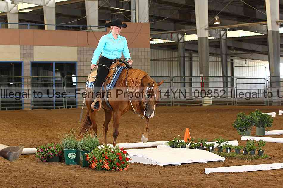 Proof 14yn_00852