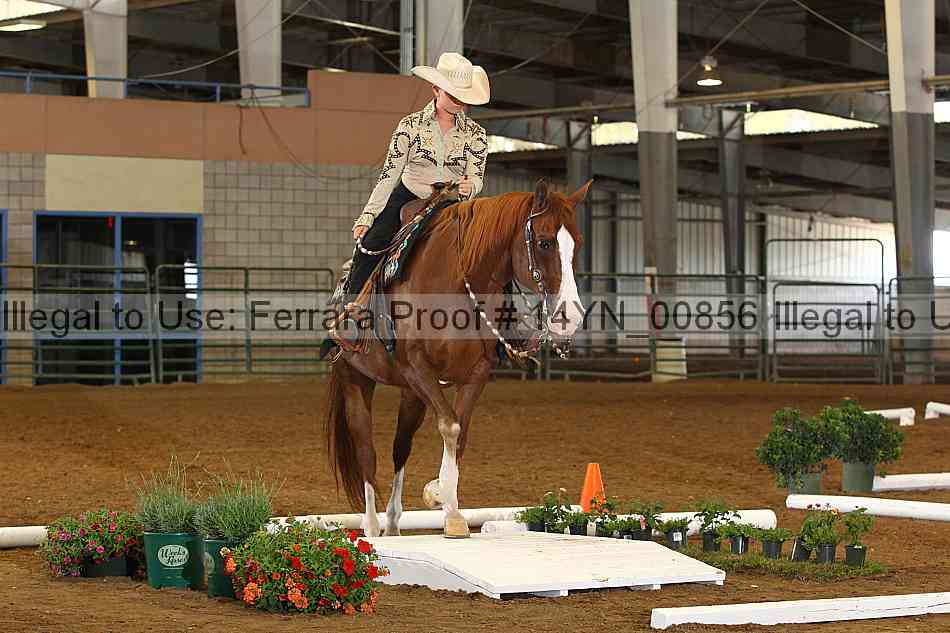 Proof 14yn_00856