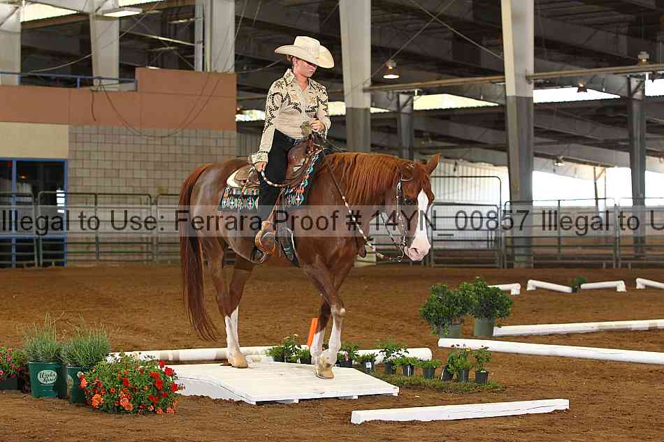 Proof 14yn_00857