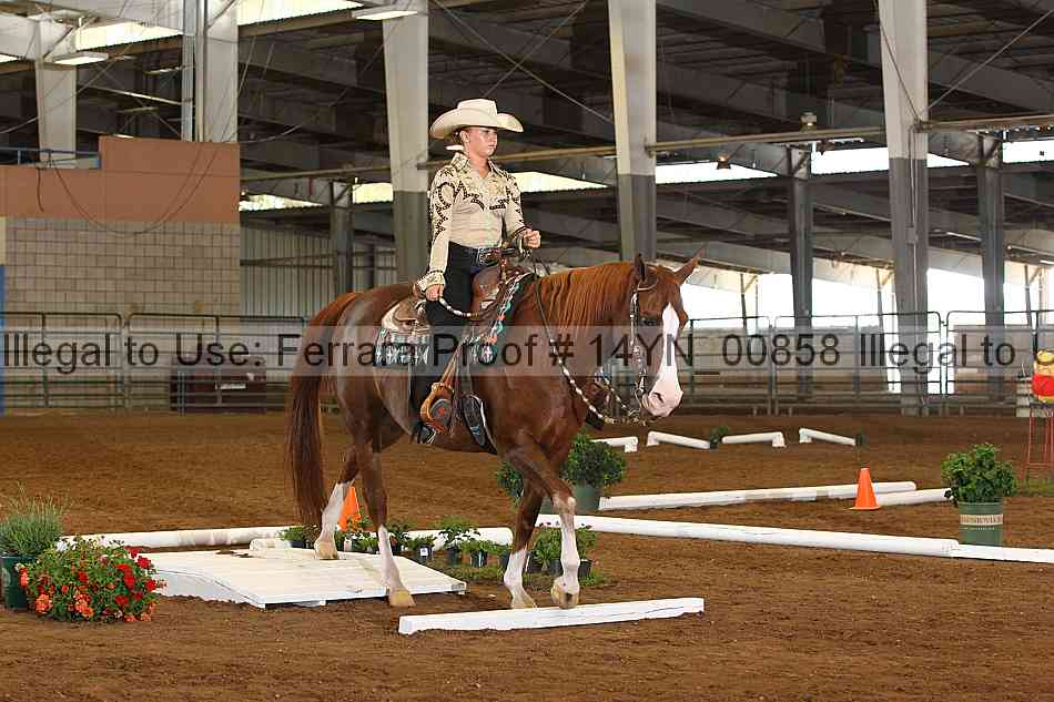 Proof 14yn_00858