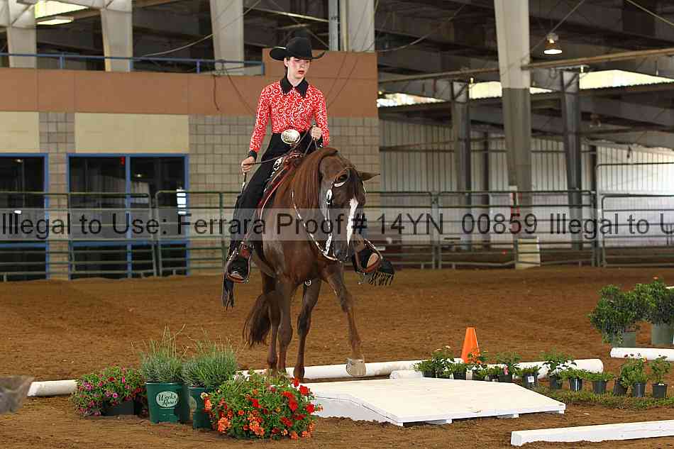 Proof 14yn_00859