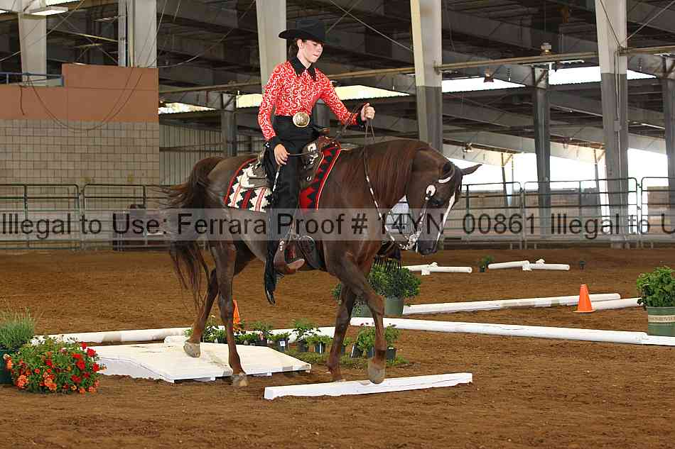 Proof 14yn_00861