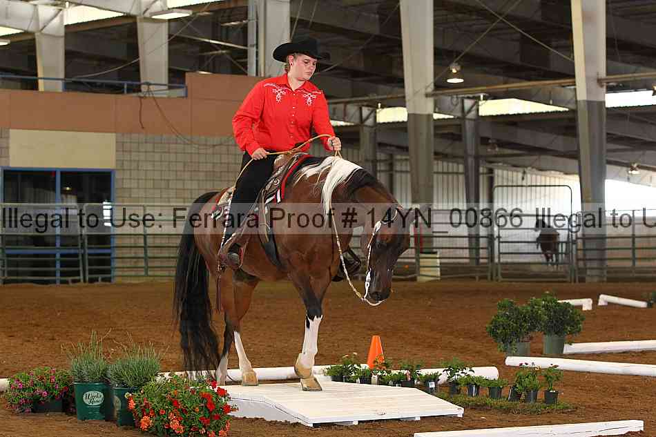 Proof 14yn_00866