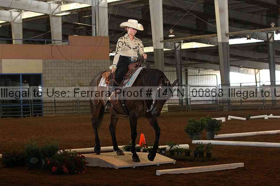 Proof 14yn_00868