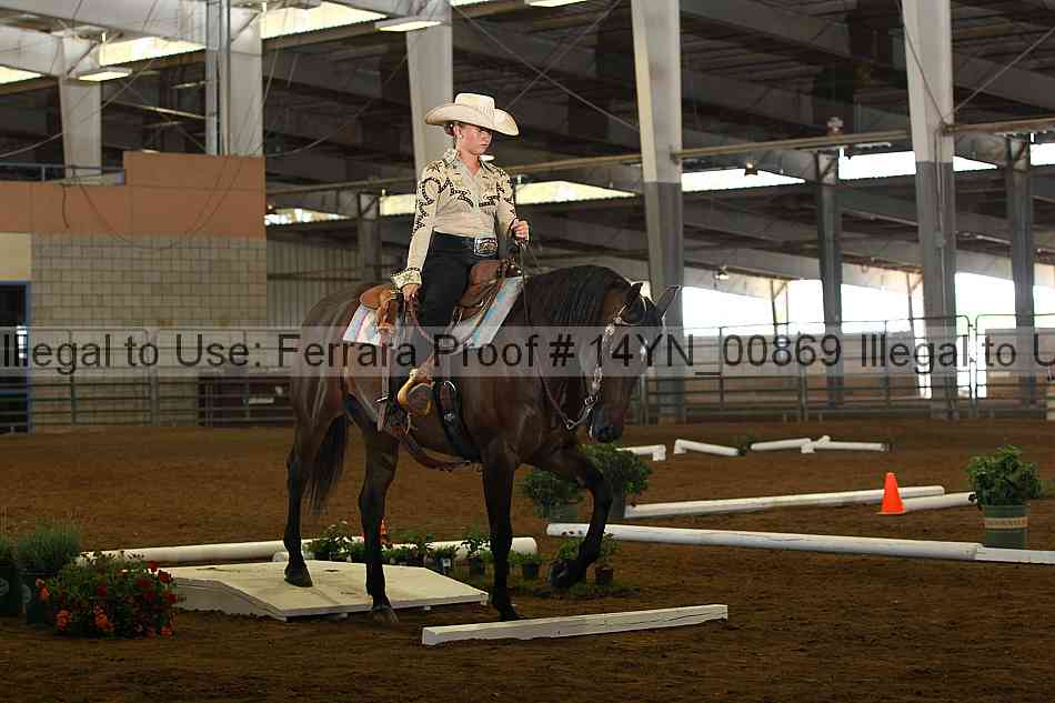 Proof 14yn_00869
