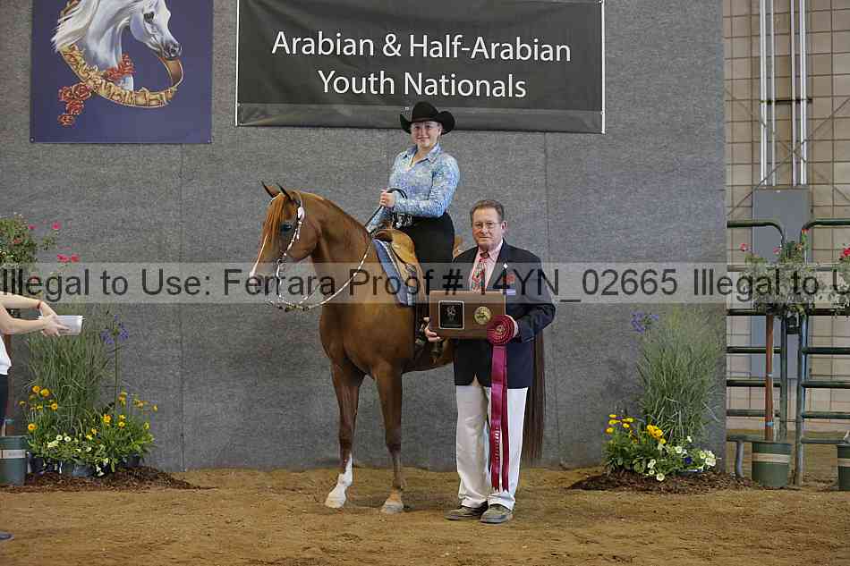 Proof 14yn_02665