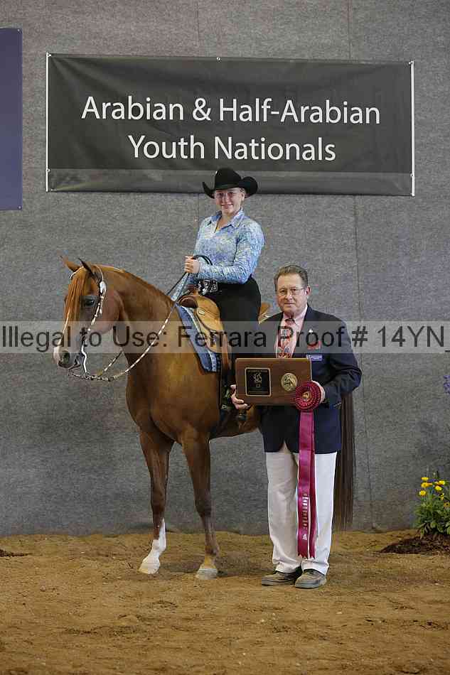 Proof 14yn_02667