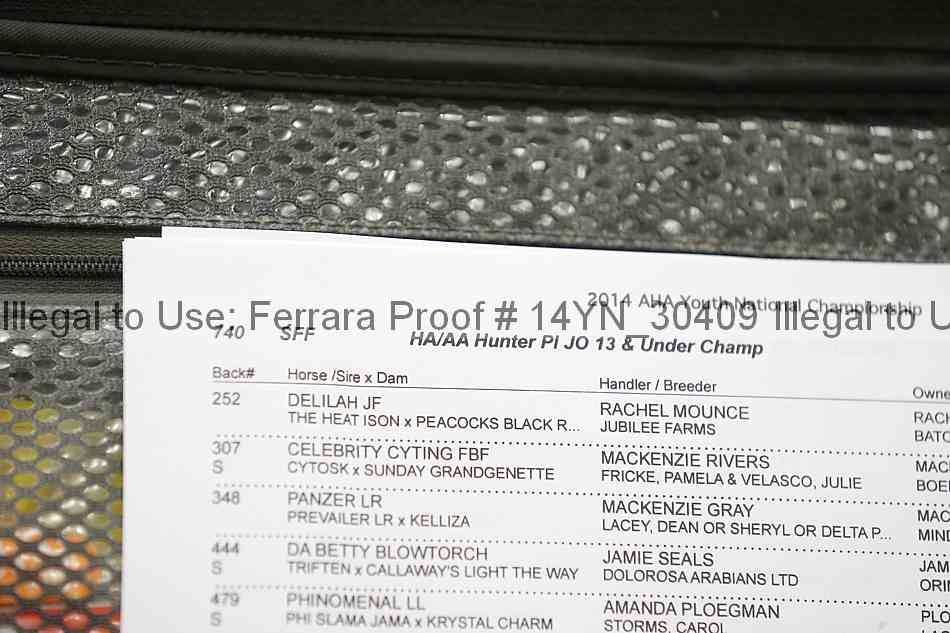 Proof 14yn_30409