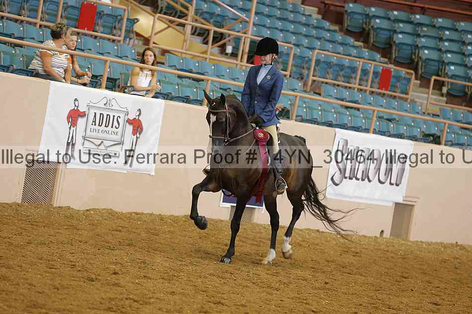 Proof 14yn_30464