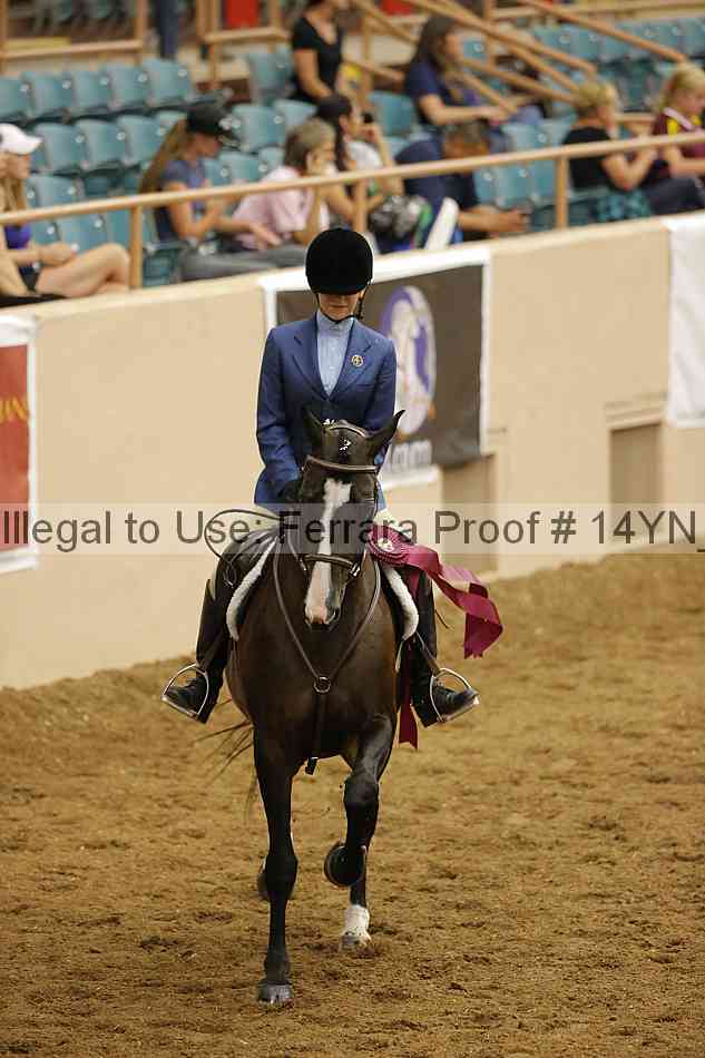 Proof 14yn_30474