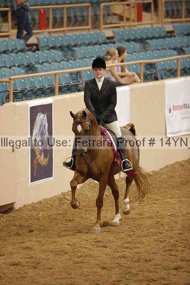 Proof 14yn_30484