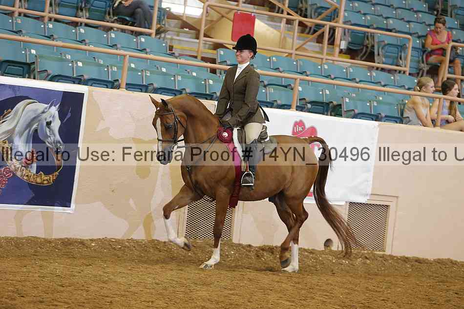 Proof 14yn_30496