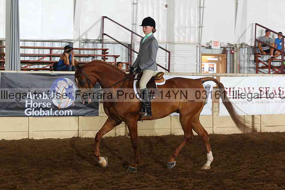 Proof 14yn_03161