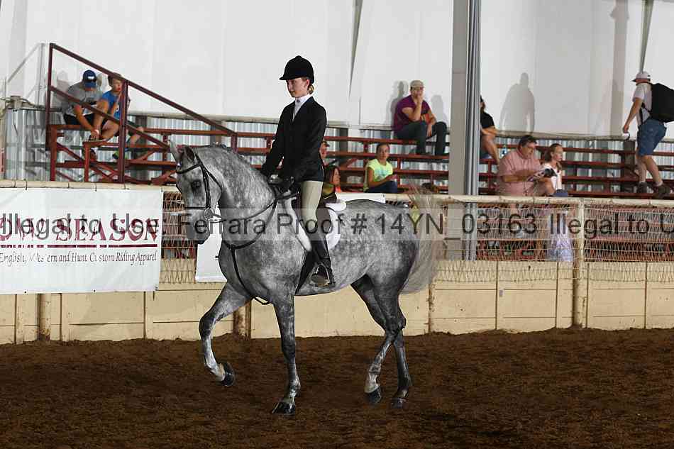 Proof 14yn_03163