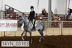 14yn_03163 proof
