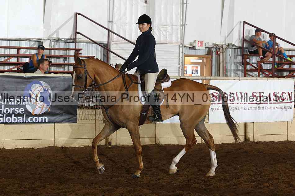 Proof 14yn_03165