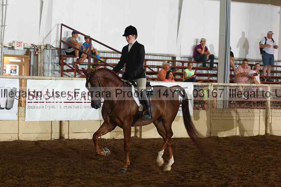 Proof 14yn_03167