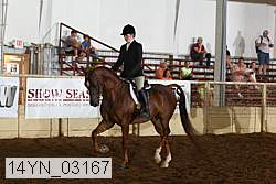 14yn_03167 proof