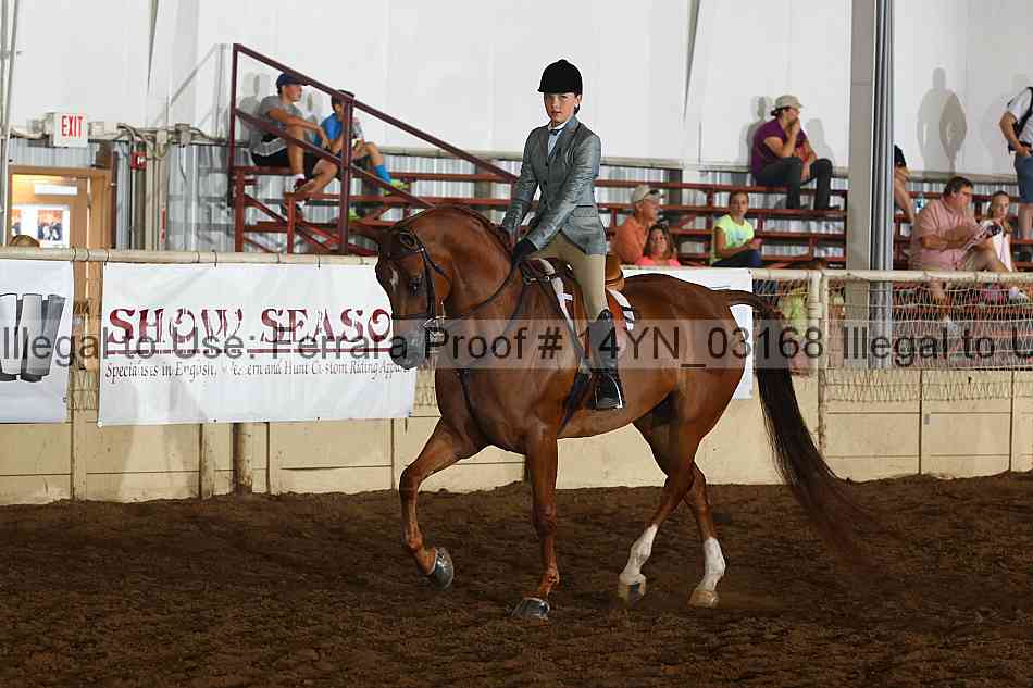 Proof 14yn_03168