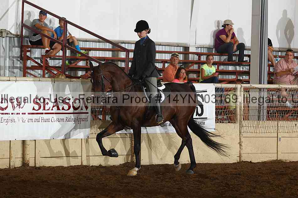 Proof 14yn_03169