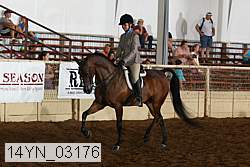 14yn_03176 proof