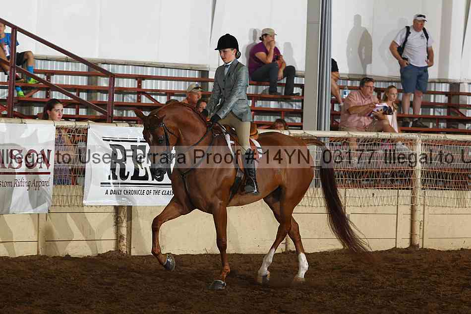 Proof 14yn_03177
