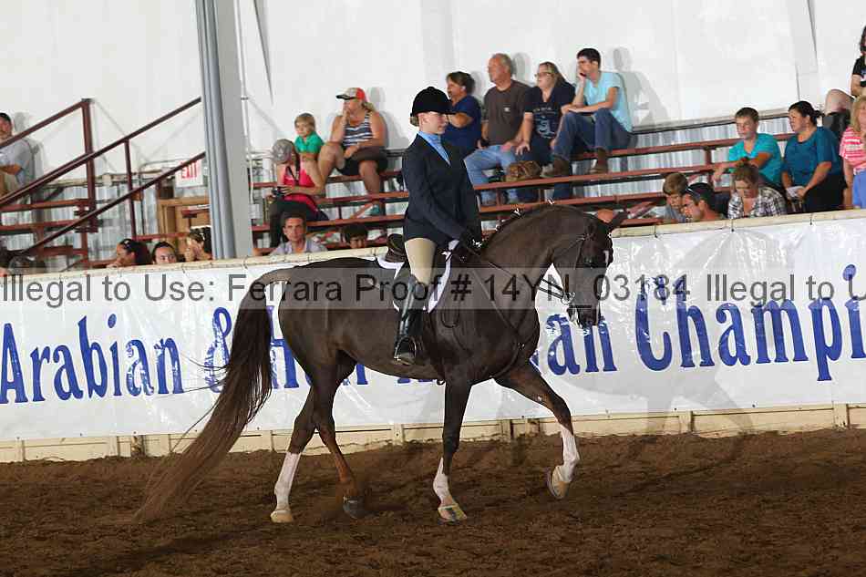 Proof 14yn_03184