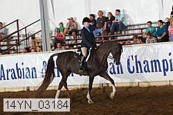 14yn_03184 proof