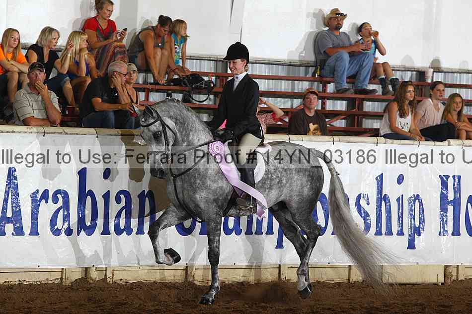 Proof 14yn_03186