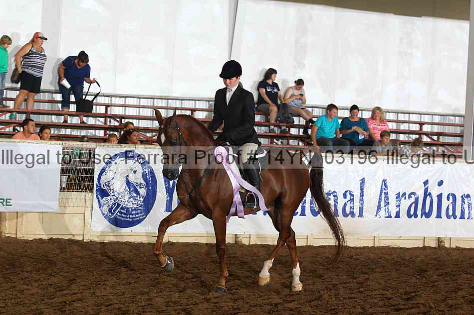 Proof 14yn_03196