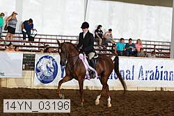 14yn_03196 proof