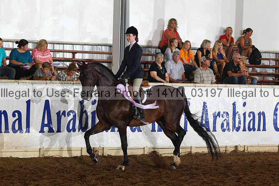 Proof 14yn_03197