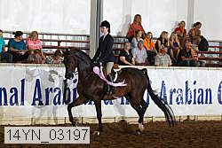 14yn_03197 proof
