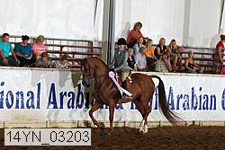 14yn_03203 proof