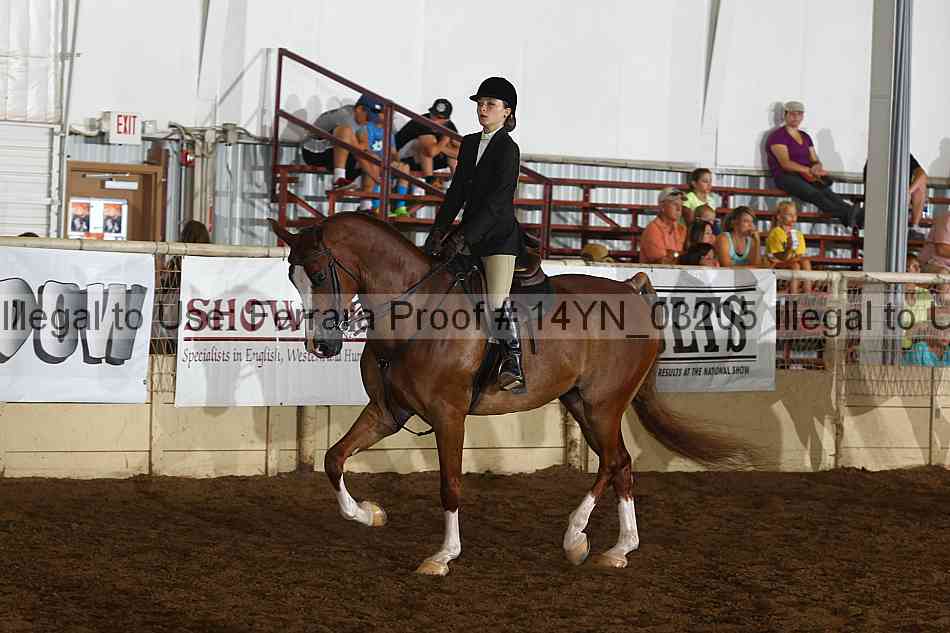 Proof 14yn_03205