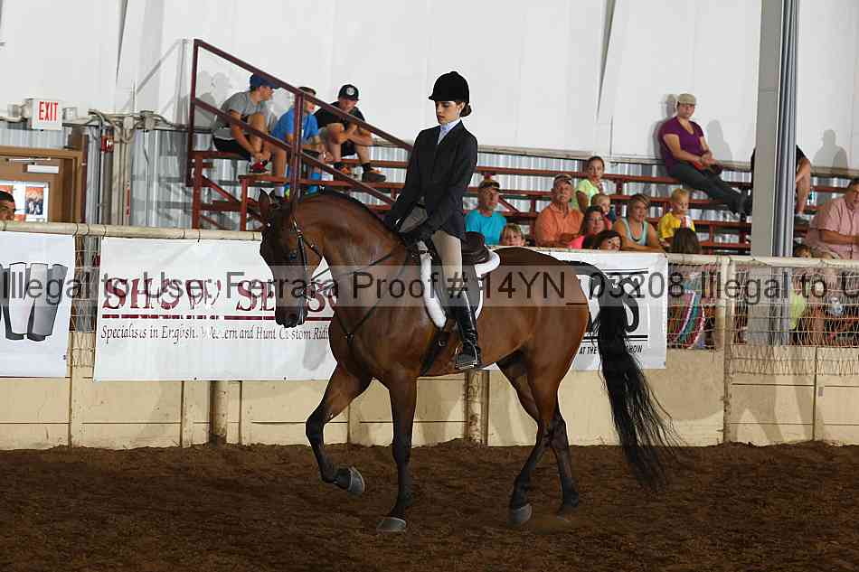 Proof 14yn_03208