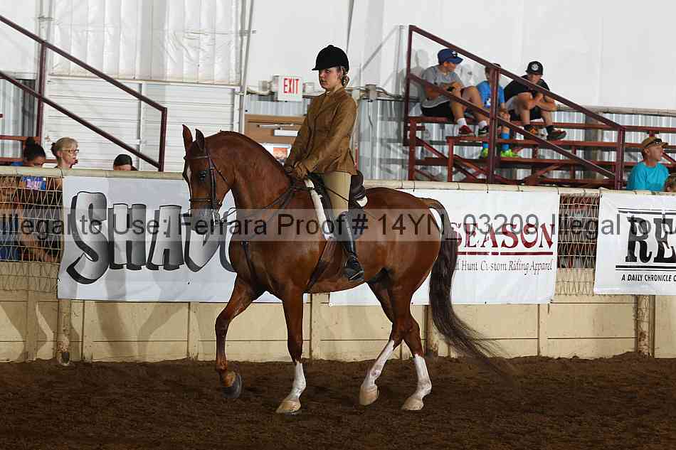 Proof 14yn_03209
